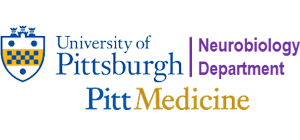 Department of Neurobiology - University of Pittsburgh